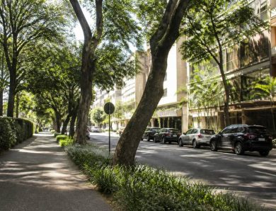 Alameda Campinas 540 Jardim Paulista: guia completo da região em São Paulo