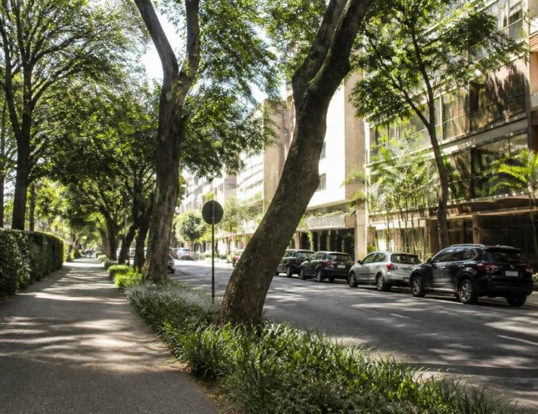 Alameda Campinas 540 Jardim Paulista: guia completo da região em São Paulo