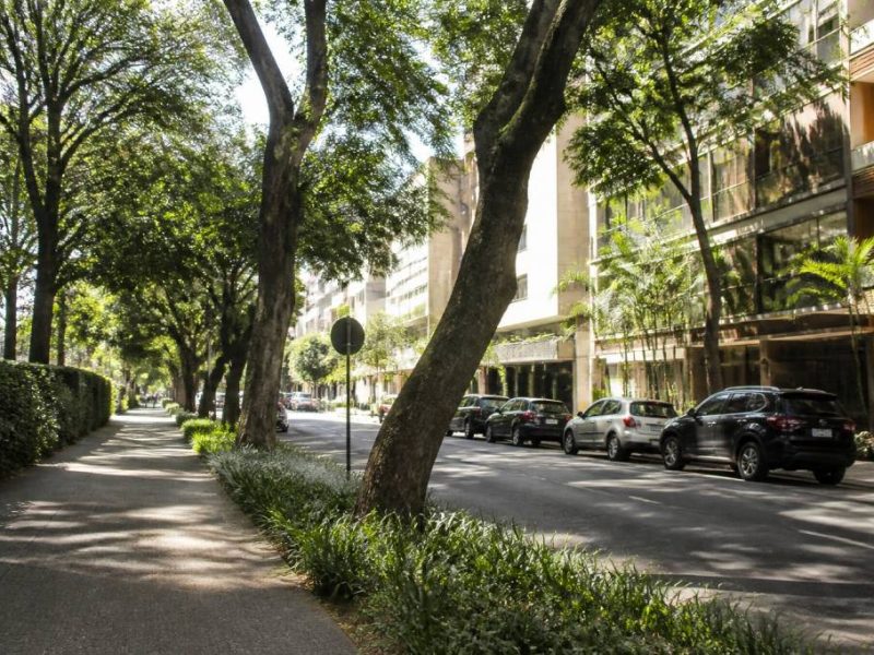 Alameda Campinas 540 Jardim Paulista: guia completo da região em São Paulo