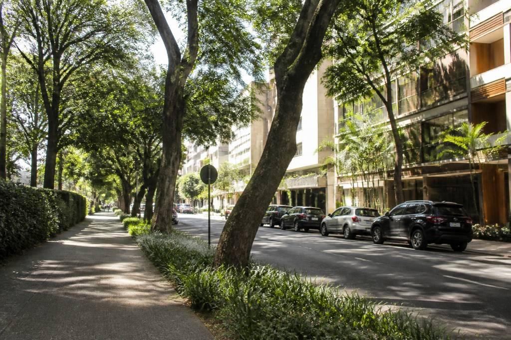 Alameda Campinas 540 Jardim Paulista: guia completo da região em São Paulo